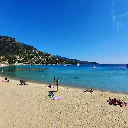 Charming In Lavandou Walking Distance To * Le Lavandou