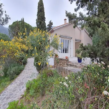Holiday home Charming In Lavandou Walking Distance To Le Lavandou