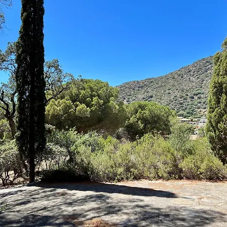 Holiday home Charming In Lavandou Walking Distance To