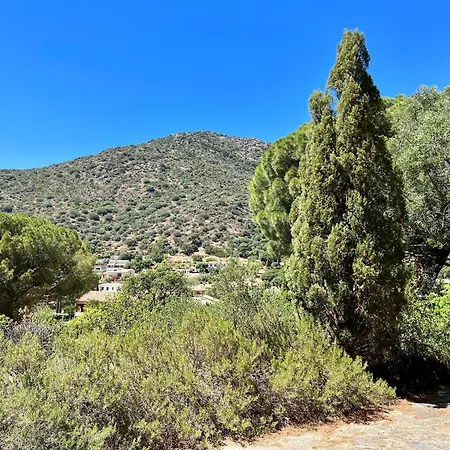 Charming In Lavandou Walking Distance To * Le Lavandou